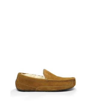 Mens Ascot - Suede Chestnut 5775
